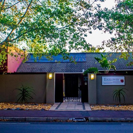 Eikelower Accommodation Stellenbosch Exteriör bild